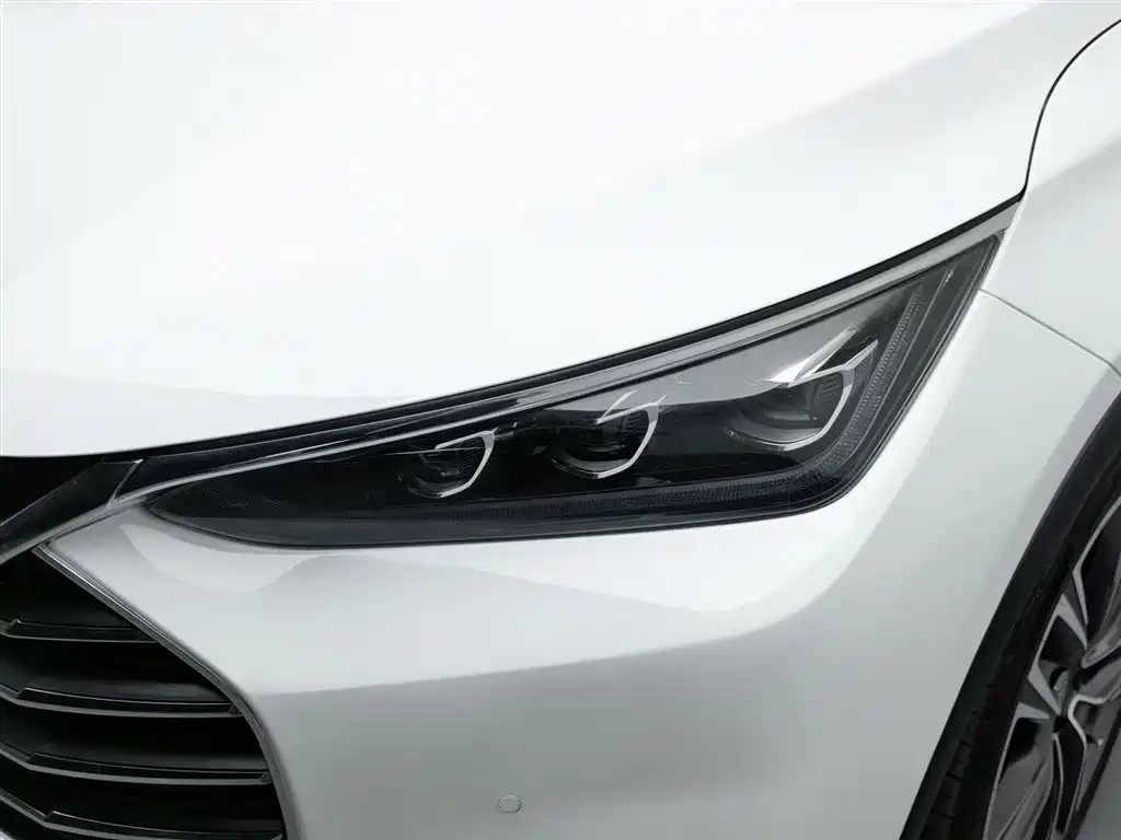Tang 2.0 T Auto Connected Honored 7-seat CN-V