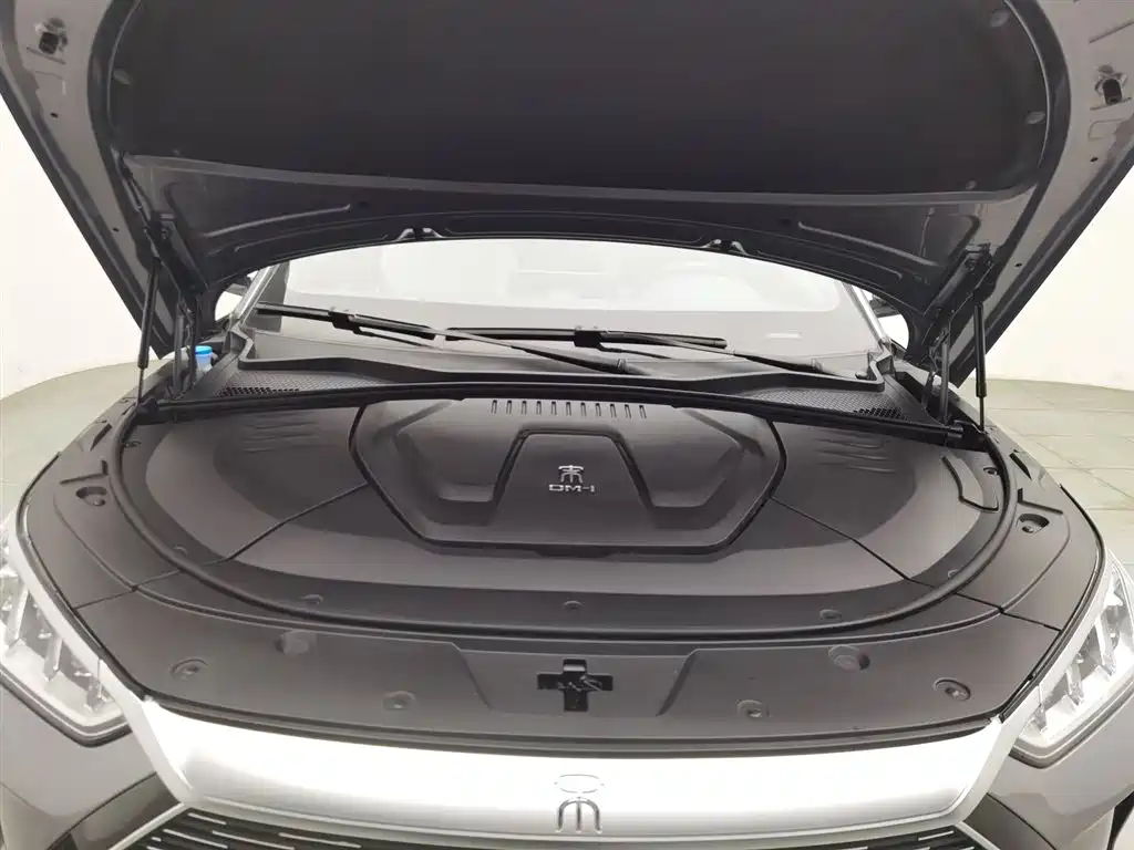 Song PLUS NEV DM-i 110 KM Flagship