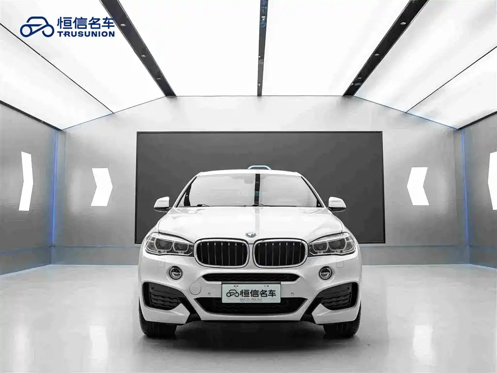 BMW X6 xDrive28 i M Sport Package