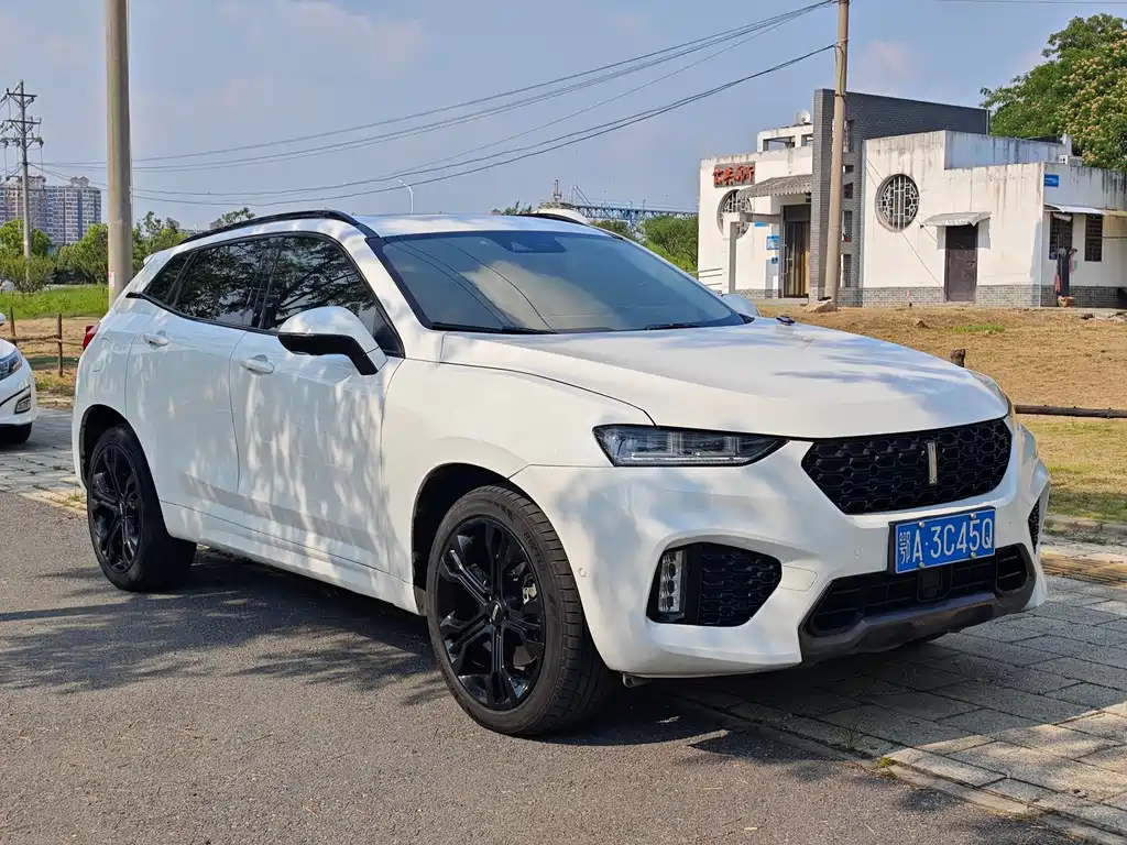 WEY VV7 2.0 T Flagship