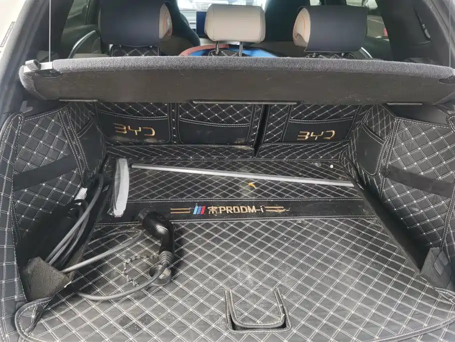 Song Pro NEV Champion DM-i 110 KM Transcend