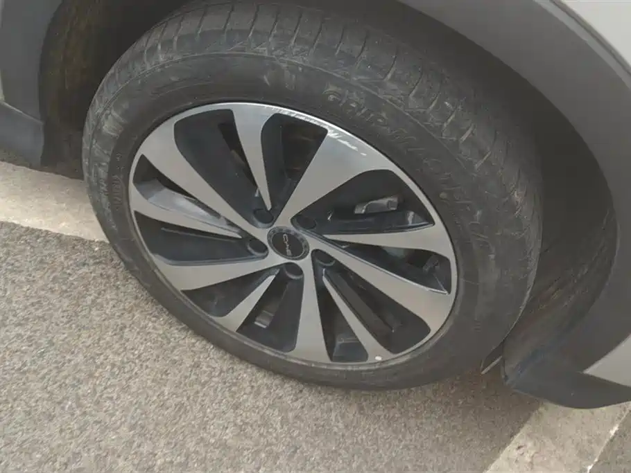 Song PLUS NEV Champion DM-i 110 KM Flagship PLUS