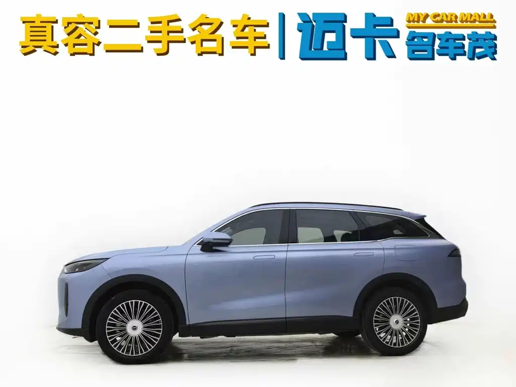 Fengyun T9 120 Long Range Flagship 7-seat Ternary Lithium