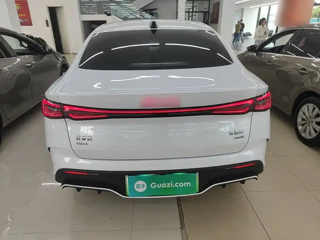 Seal 06 DM-i Smart Drive 80 KM Luxury