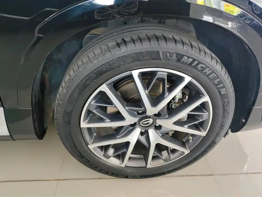 GAC Trumpchi GS8 Dual Engine Series 2.0 TM 2 WD Distinguished (7-seat)