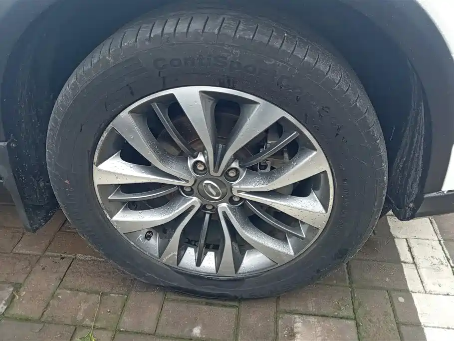 GAC Trumpchi GS8 320 T 2 WD Luxury Connected (7-seat)