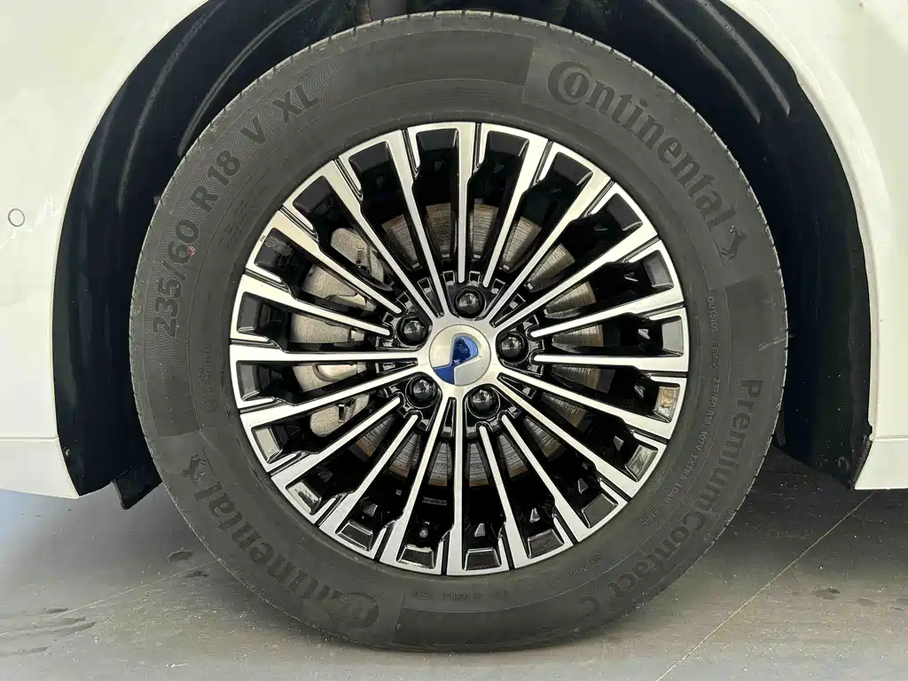 Denza D9 DM-i 970 4 WD Flagship