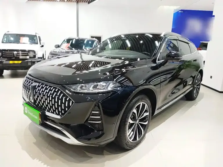 WEY Mocha 2.0 T 4 WD Pure