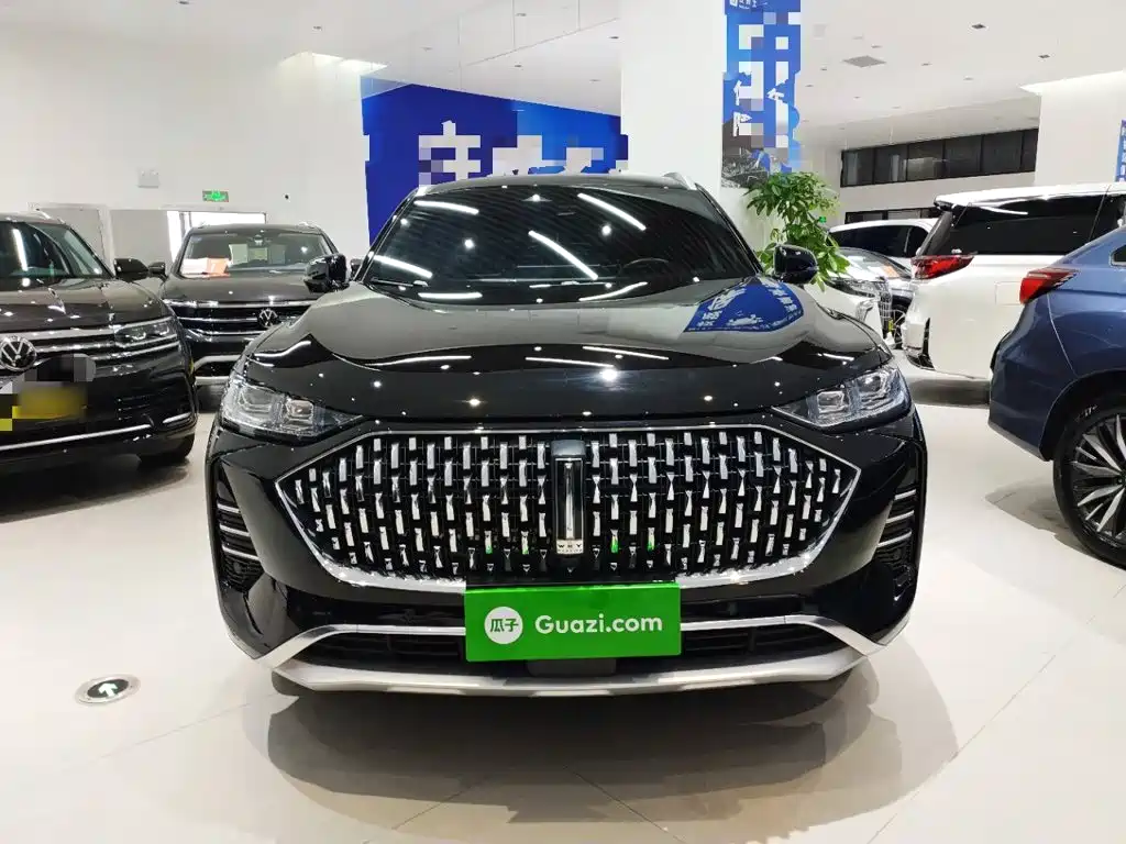 WEY Mocha 2.0 T 4 WD Pure