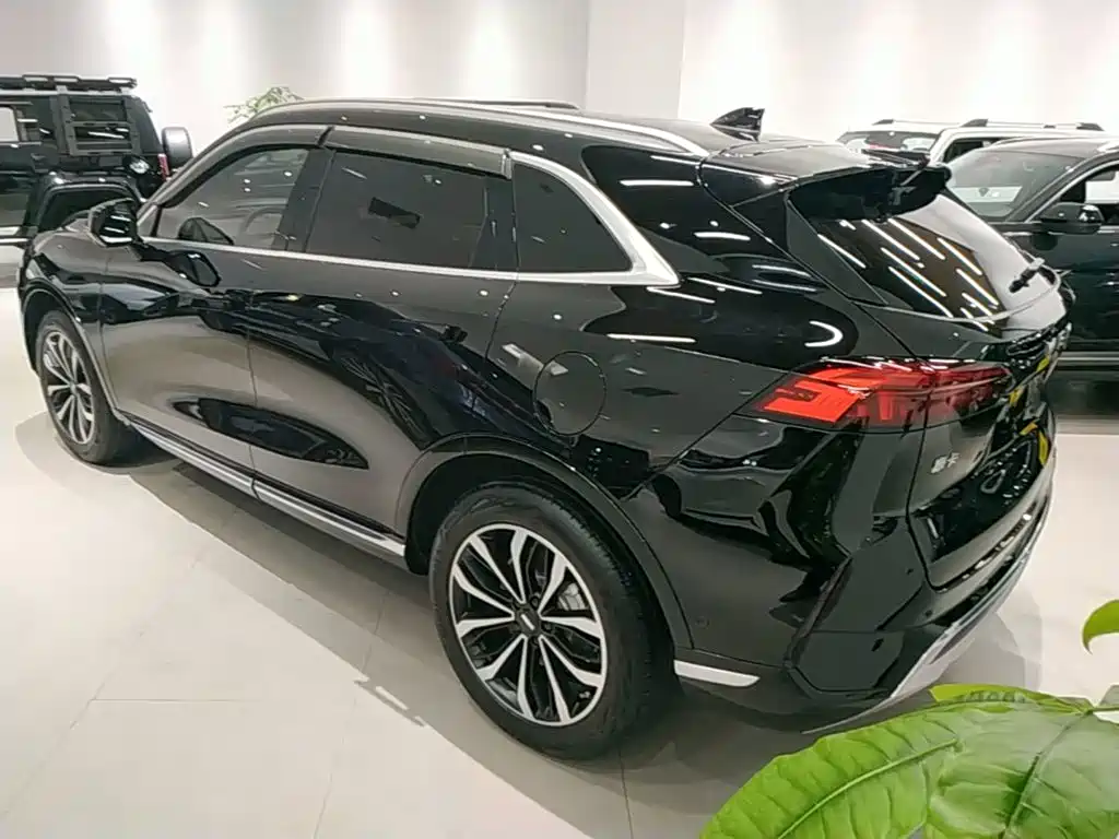 WEY Mocha 2.0 T 4 WD Pure
