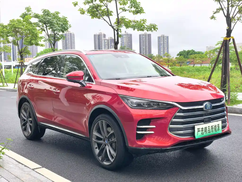 Tang NEV DM 2.0 T Full-time 4 WD Connected Pioneer Leading 7-seat CN-V
