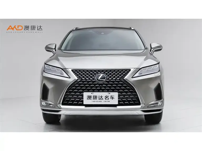 Lexus RX 300 4 WD Elegant CN-VI