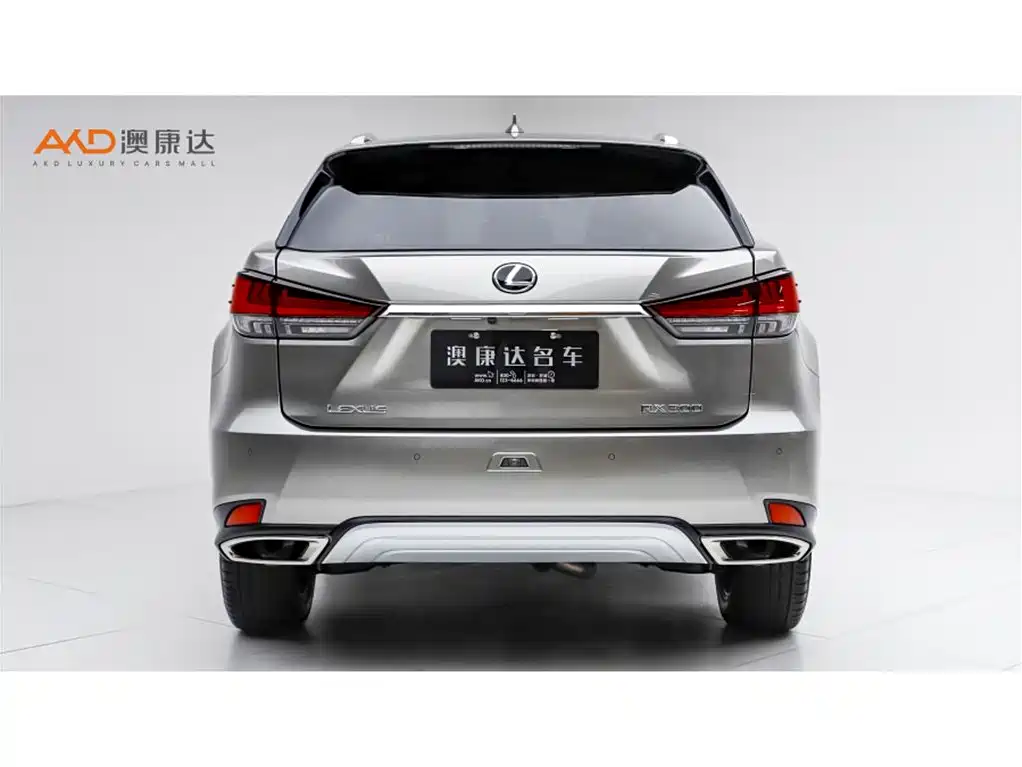 Lexus RX 300 4 WD Elegant CN-VI