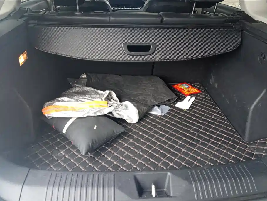Besturn T55 1.5 T Auto Leap