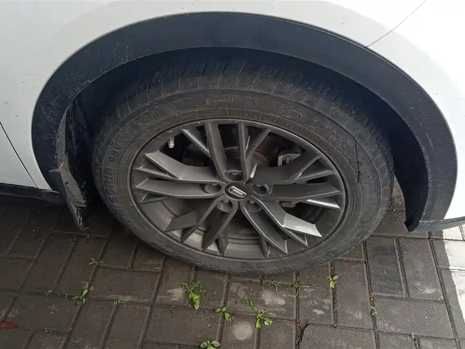 Besturn T55 1.5 T Auto Leap