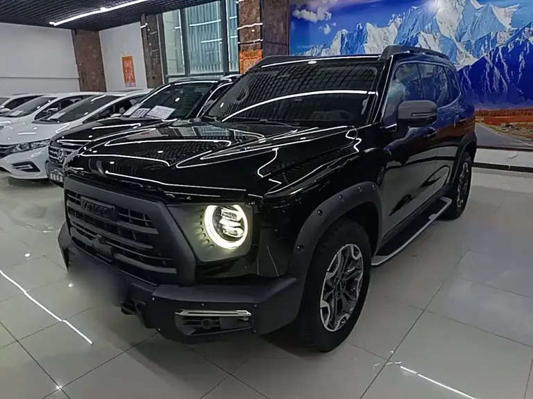 Haval Dargo 2.0 T DCT 4 WD Howling Dog Hunt