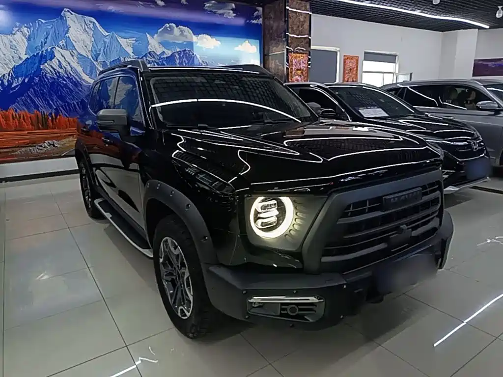 Haval Dargo 2.0 T DCT 4 WD Howling Dog Hunt