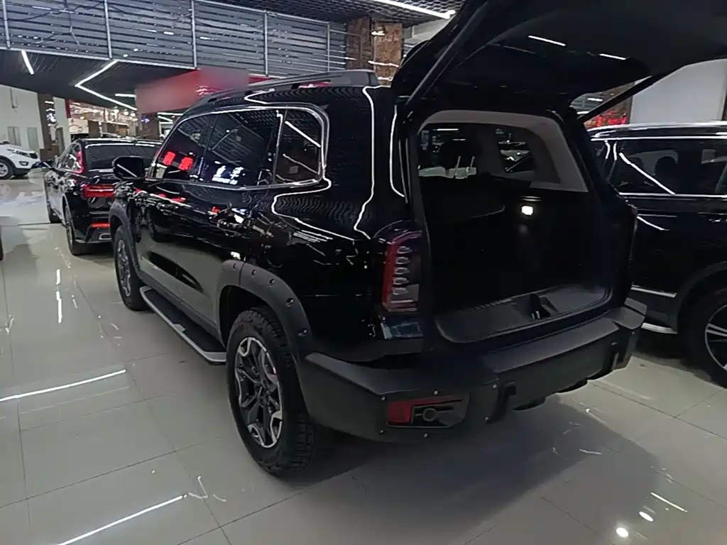 Haval Dargo 2.0 T DCT 4 WD Howling Dog Hunt