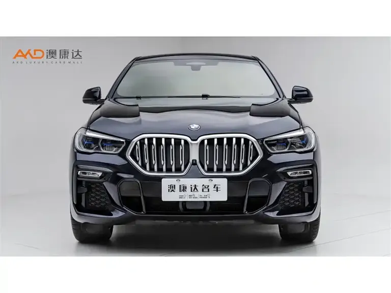 BMW X6 宝马X62021款 xDrive40 i 尊享型 M运动套装