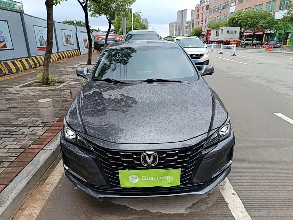Ruicheng CC Blue Whale 1.5 T DCT Luxury