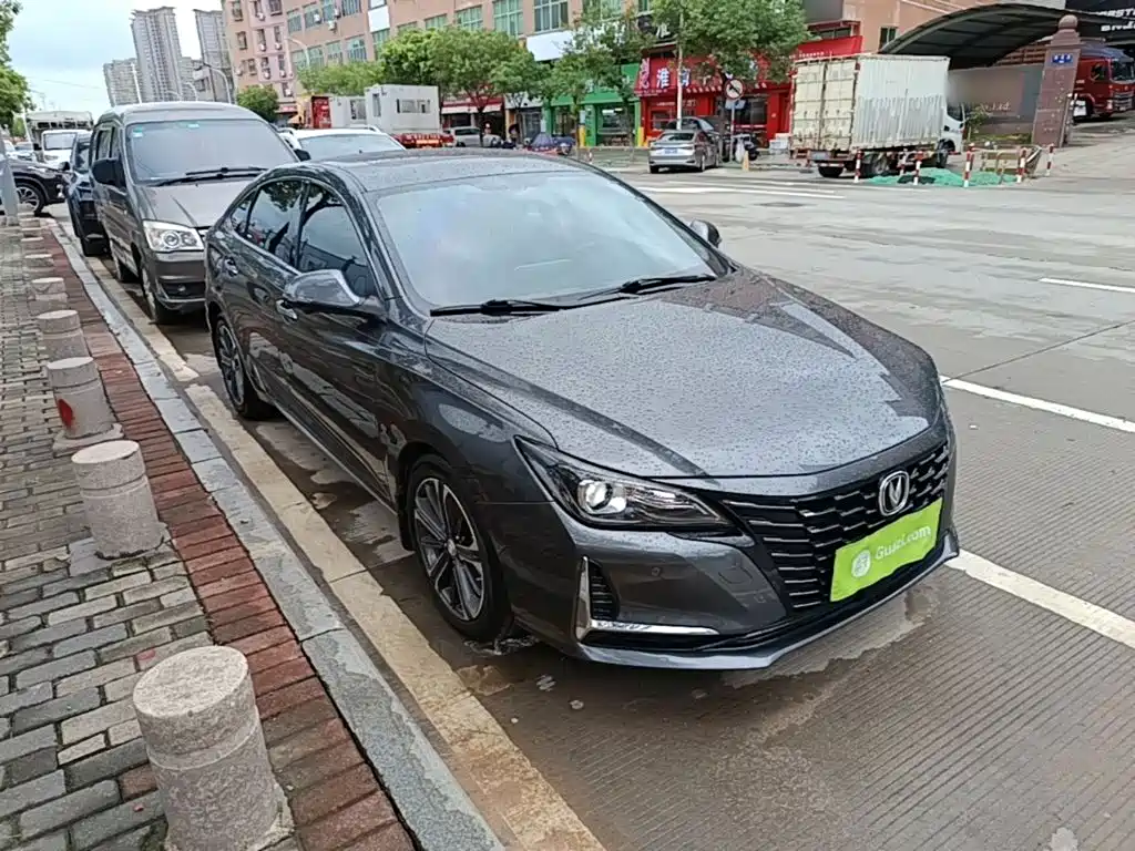 Ruicheng CC Blue Whale 1.5 T DCT Luxury