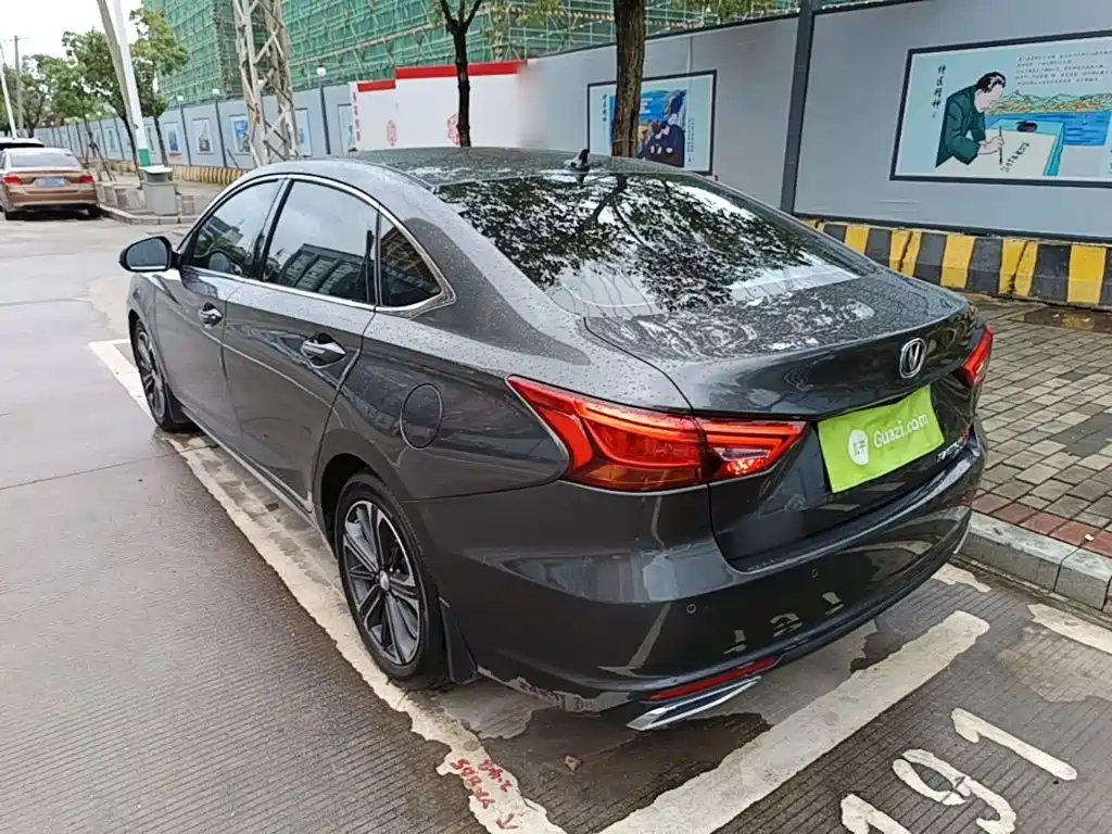 Ruicheng CC Blue Whale 1.5 T DCT Luxury