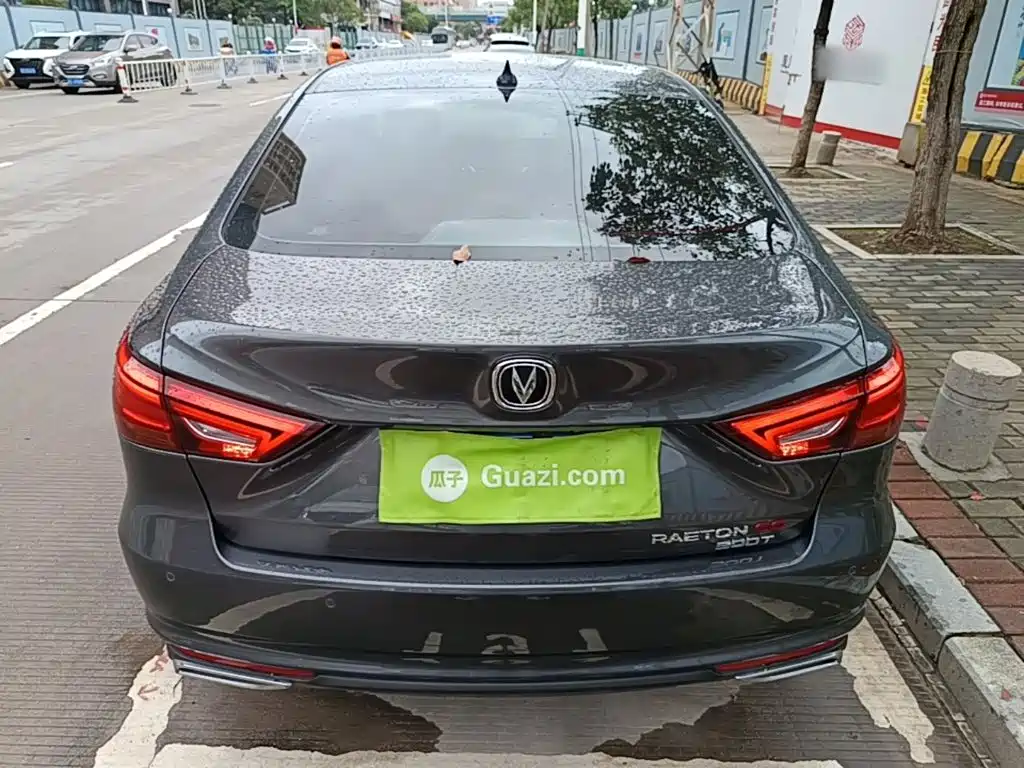 Ruicheng CC Blue Whale 1.5 T DCT Luxury