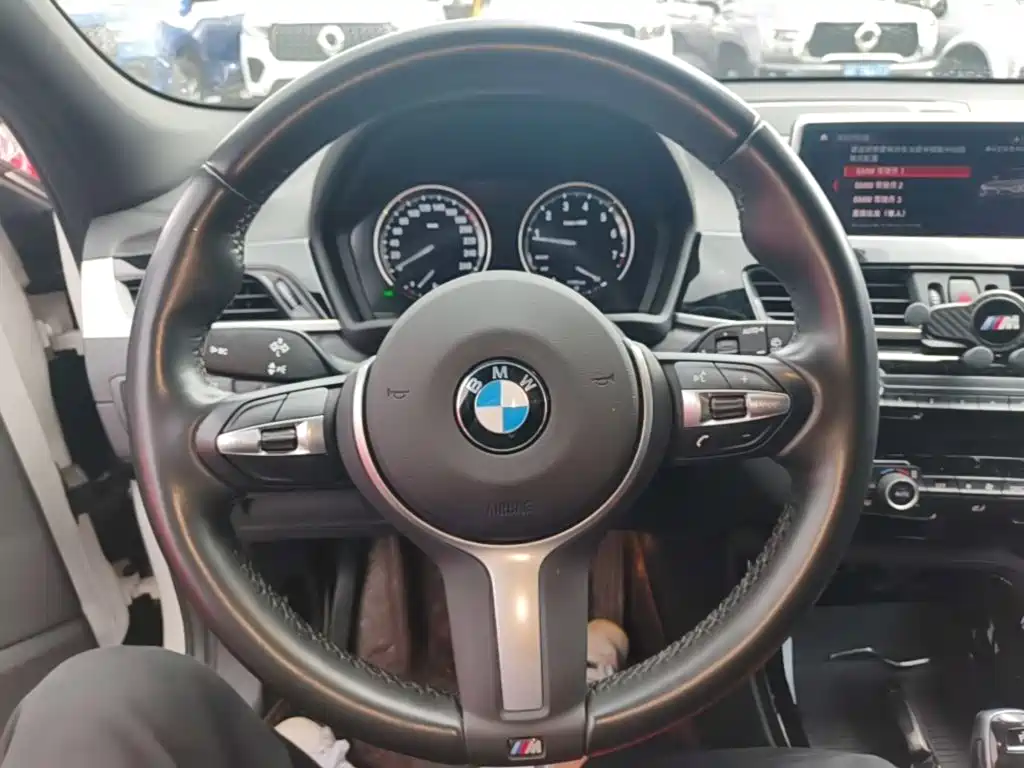 BMW X2 sDrive25 i Leading M Offroad Package