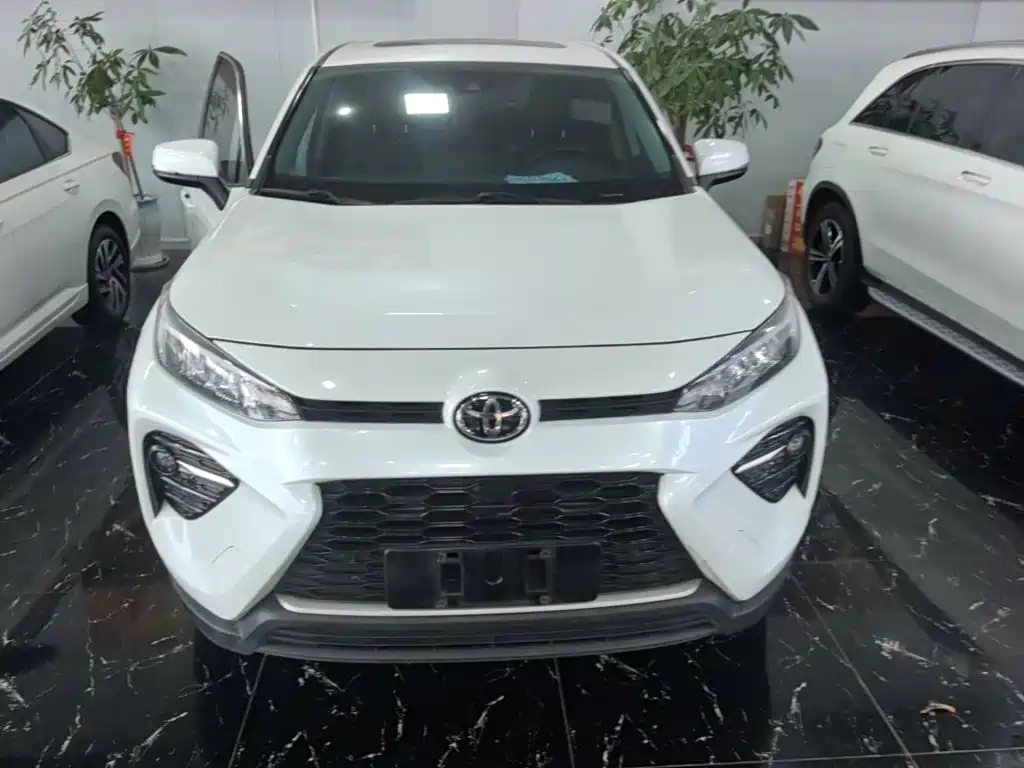 Wildlander 2.0 L CVT 4 WD Luxury