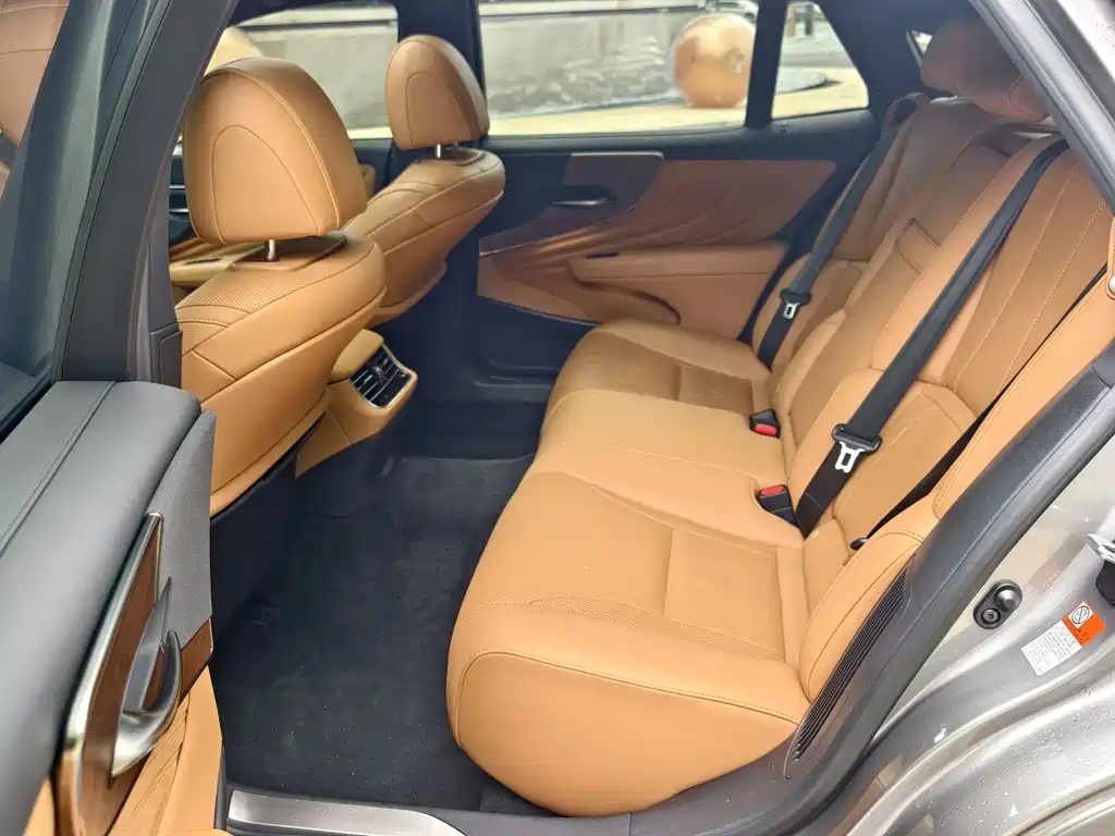 Lexus LS 500 h Outstanding