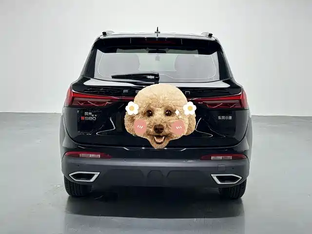 Fengguang 580 1.5 T Auto Luxury