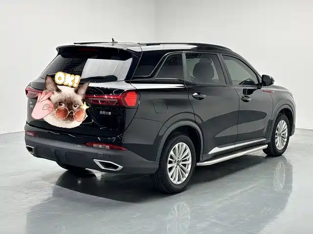 Fengguang 580 1.5 T Auto Luxury