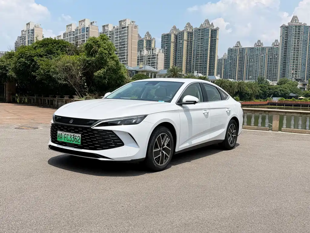 Qin L DM-i 120 KM Transcend