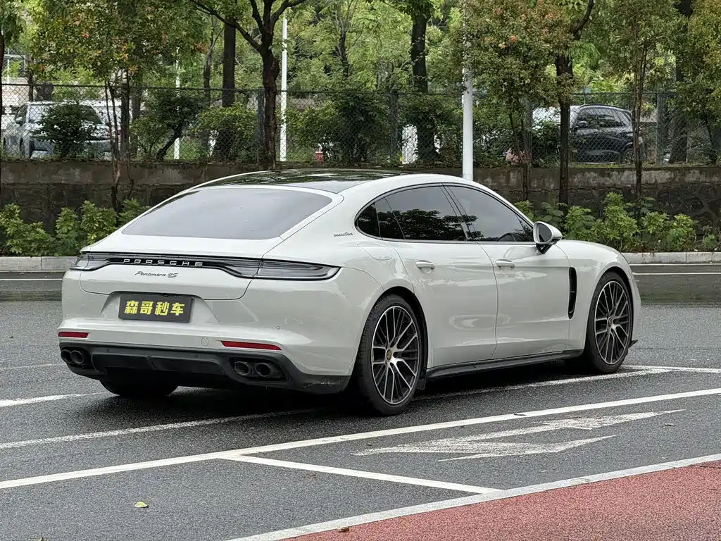Panamera Facelift Panamera Executive Extended Platinum 2.9 T