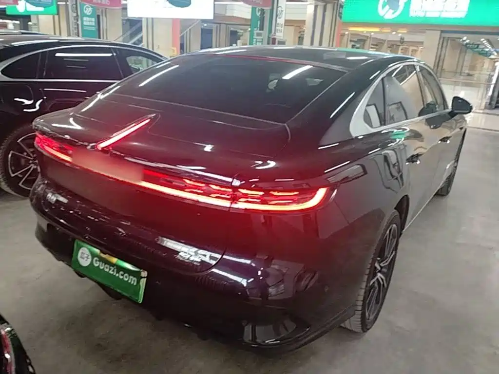 Voyah Zhuiguang PHEV 4 WD Ultra Long Range Flagship