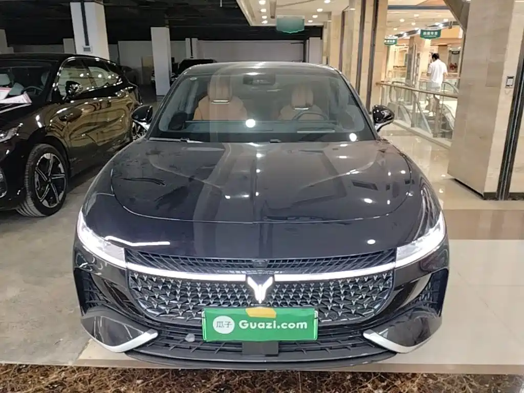 Voyah Zhuiguang PHEV 4 WD Ultra Long Range Flagship