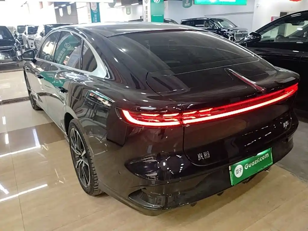 Voyah Zhuiguang PHEV 4 WD Ultra Long Range Flagship
