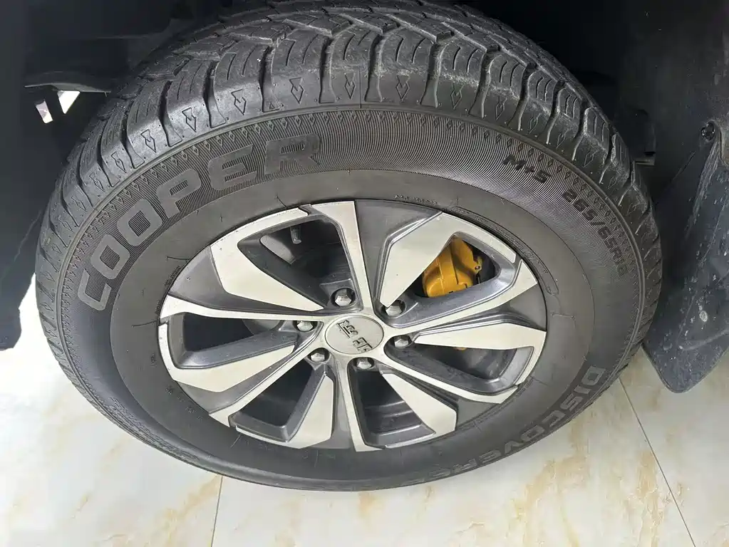 Beijing Offroad BJ60 2.0 T 11 th 5-seat