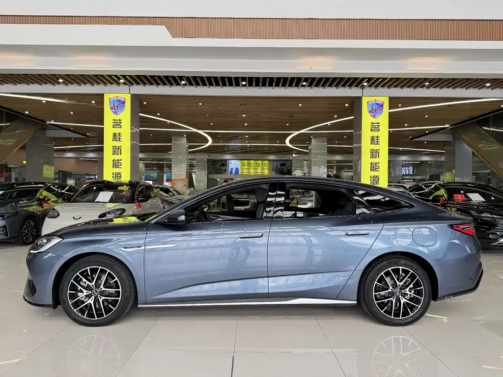 Seal DM-i 1.5 L 121 km Luxury