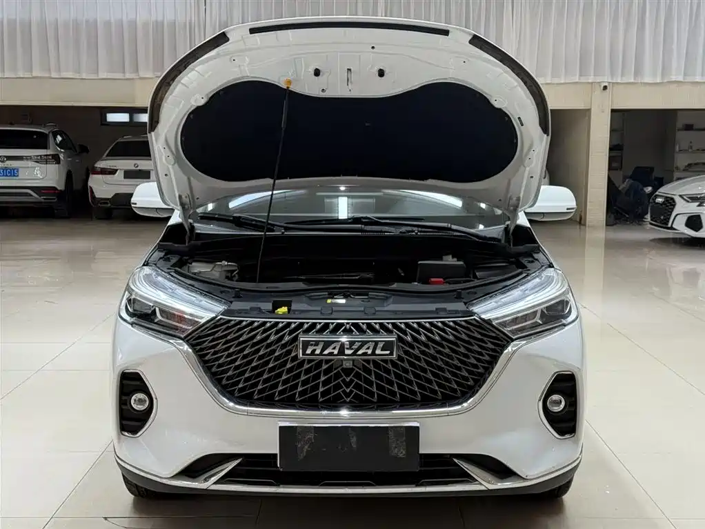 Haval M6 PLUS 1.5 T DCT Luxury Connected