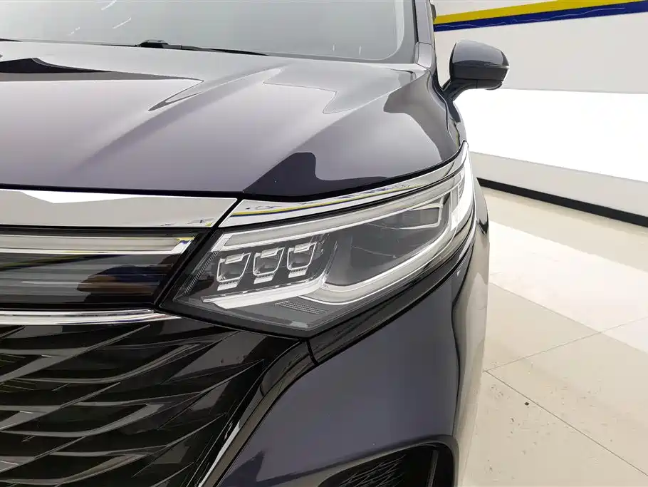 Roewe iMAX8 400 TGI