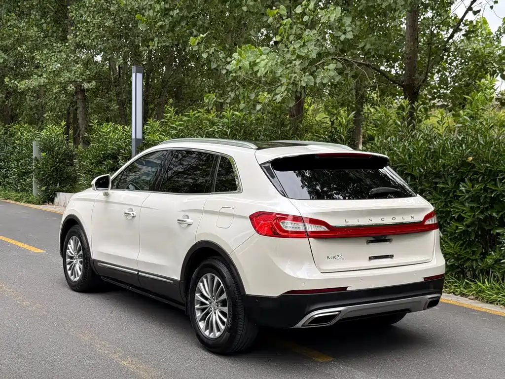 Lincoln MKX 2.0 T 4 WD Graceful