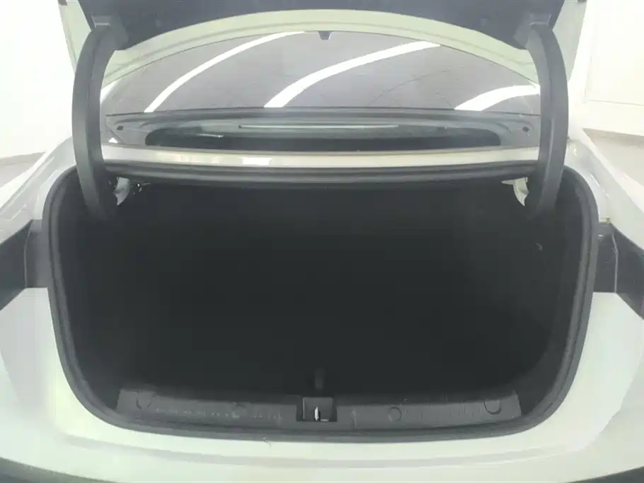 Qin L DM-i Smart Drive 80 KM Leading