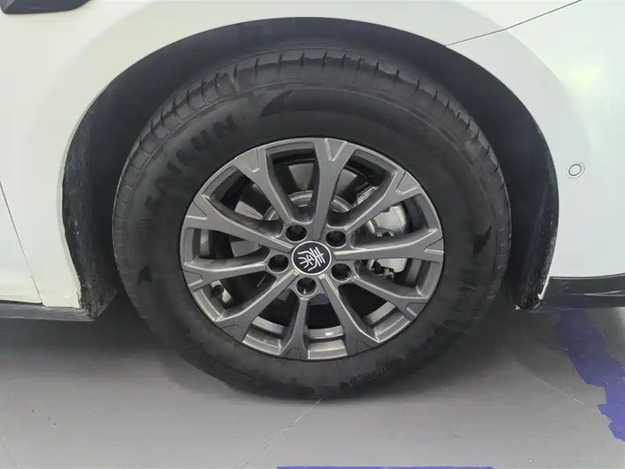 Qin L DM-i Smart Drive 80 KM Leading