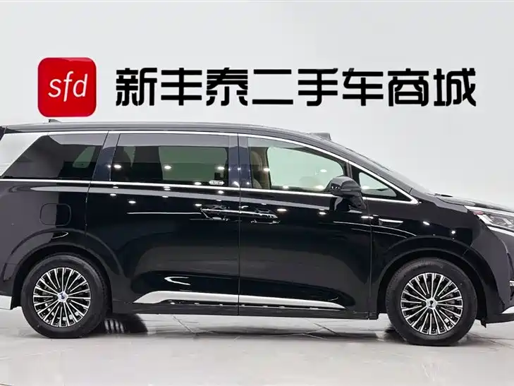 Denza D9 DM-i Smart Drive 1020 4 WD Premium