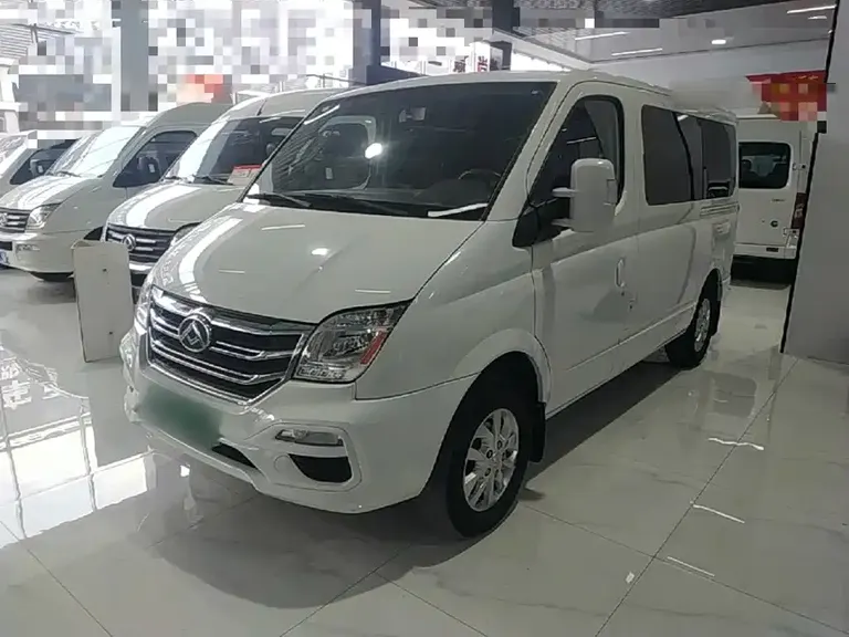 Maxus Xintu V80 新途V80 2019款 2.0 T Plus AMT傲运通短轴超低顶5/6座