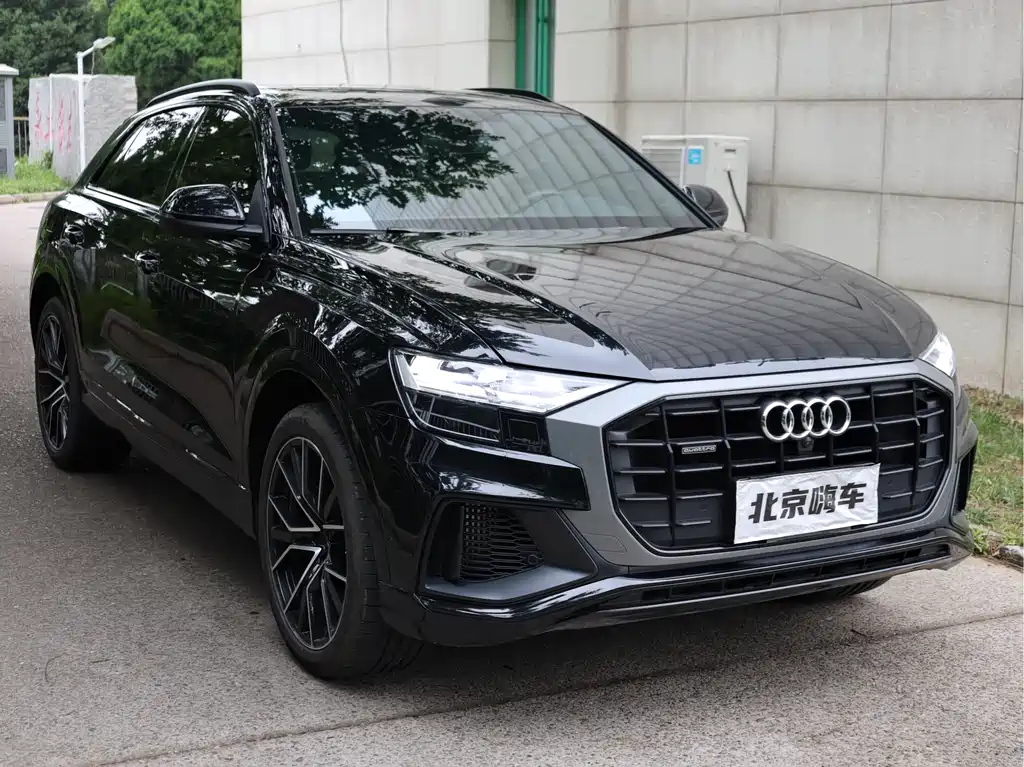 Audi Q8 奥迪Q8 2019款 55 TFSI 尊享动感型