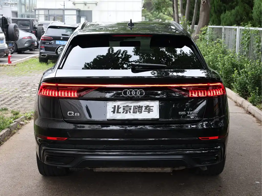 Audi Q8 奥迪Q8 2019款 55 TFSI 尊享动感型