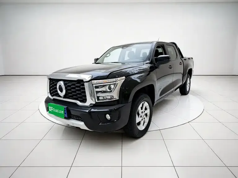 Great Wall Jingang Pao 金刚炮 2023款 2.0 T手动柴油两驱精英型标箱GW4 D20 M