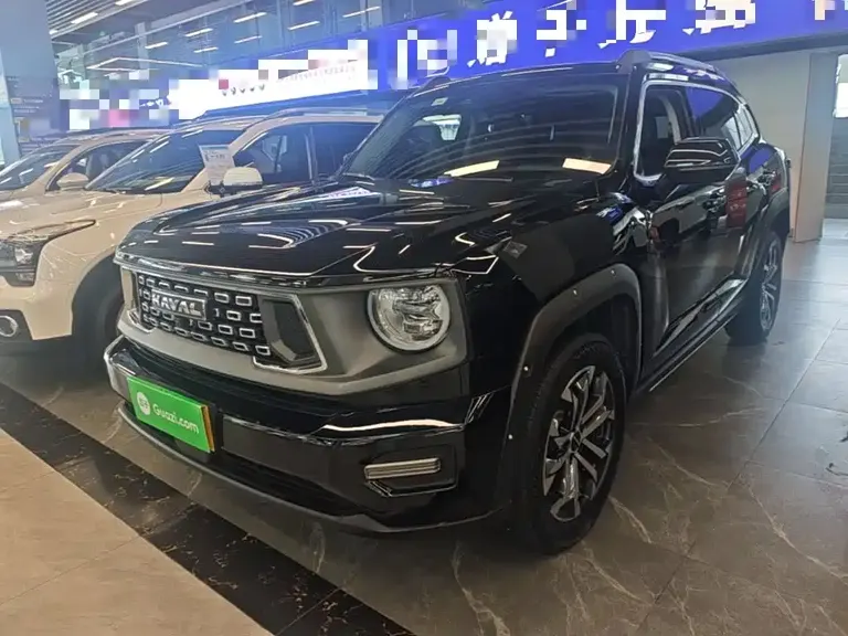 Haval Dargo PLUS 1.5 T 2 WD Trend Wild Plus